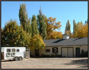 Equine lameness specialist, including digital thermal imaging (thermography), digital radiography, extracorporeal shock wave therapy, arthroscopic and laser surgery, ultrasound, endoscopy, equine denistry and much more.  Located in Albion, Idaho